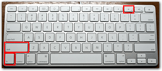 Fn + Shift + F11 on the Apple keyboard