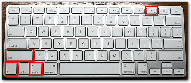 Alt + Fn + Shift + F11 on the Apple keyboard