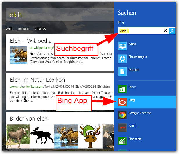 Windows 8: Bingsuche