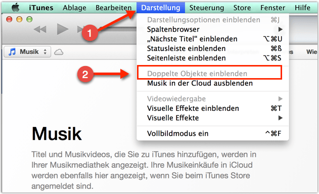 Mac iTunes: Doppelte Objekte
