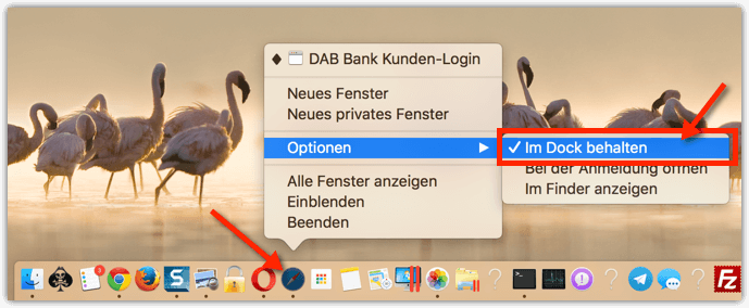 Mac OS X: Safari ans Dock heften